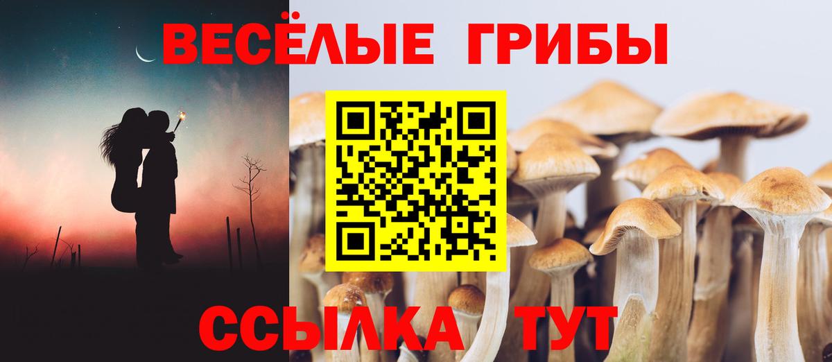 Азнакаево  Галлюциногенные грибы Magic Shrooms  где купить наркоту  Вход с VPN  Псилоцибиновые грибы Cubensis 